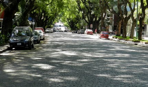 Protegen las calles adoquinadas