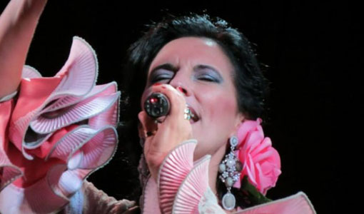3ª Bienal de Flamenco 3ª Bienal de Flamenco