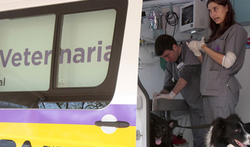 Ya circulan por la ciudad las Veterinarias móviles Ya circulan por la ciudad las Veterinarias móviles