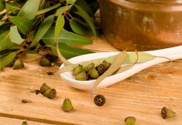 Consejos y hierbas medicinales para la gripe