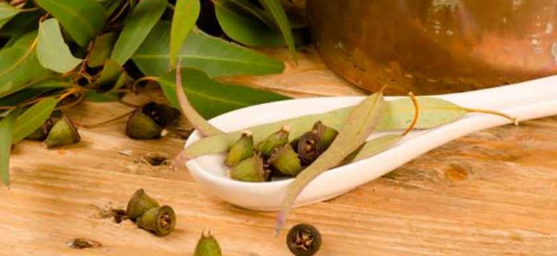 Consejos y hierbas medicinales para la gripe Consejos y hierbas medicinales para la gripe