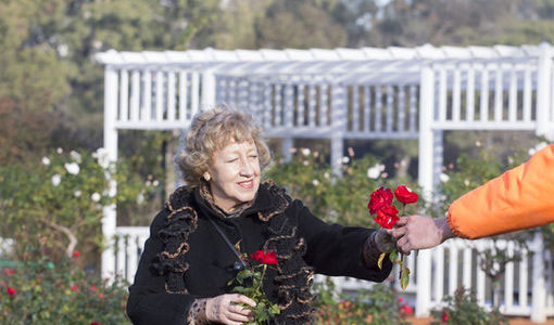 Arranca la poda en el Rosedal, podrán llevarse flores y gajos de regalo