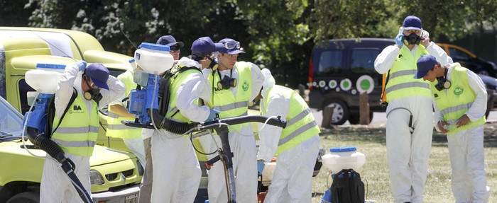 Confirman otros tres casos de dengue en la Ciudad