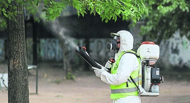 Confirman dos muertes por dengue en la ciudad