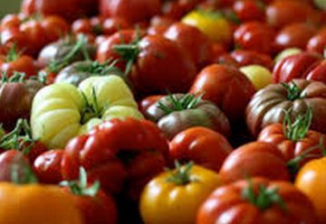Lo que el mundo cultiva, come y desecha