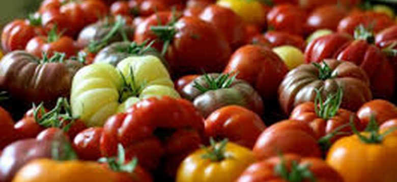 Lo que el mundo cultiva, come y desecha Lo que el mundo cultiva, come y desecha