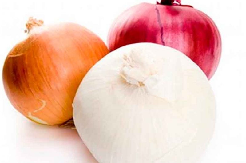 La Cebolla, un alimento curativo La Cebolla, un alimento curativo
