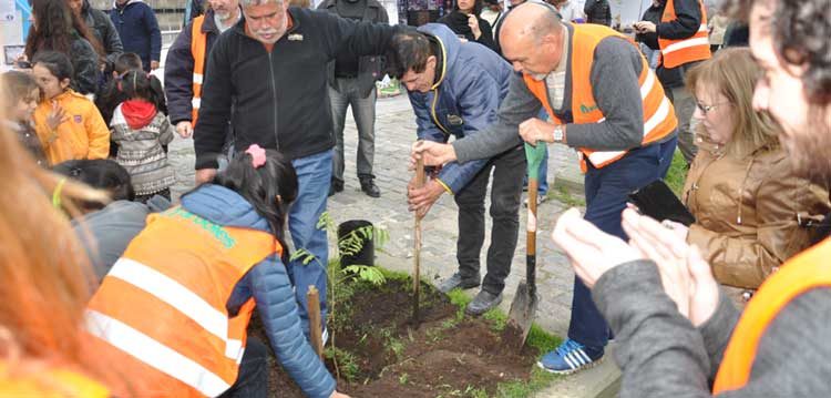 Arboles sin fronteras planto un Timbó en los festejos de La Boca