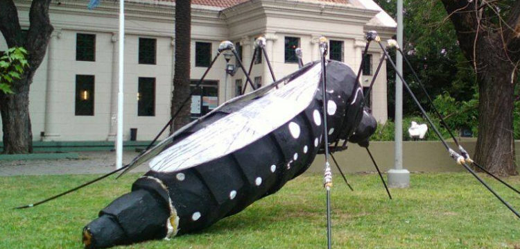 El mosquito gigante llegó a Parque Patricios El mosquito gigante llegó a Parque Patricios