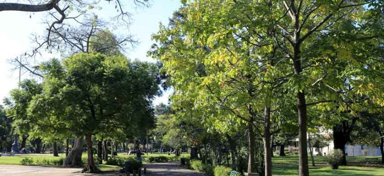 Los proyectos más votados de BA Elige por los vecinos Los proyectos más votados de BA Elige por los vecinos