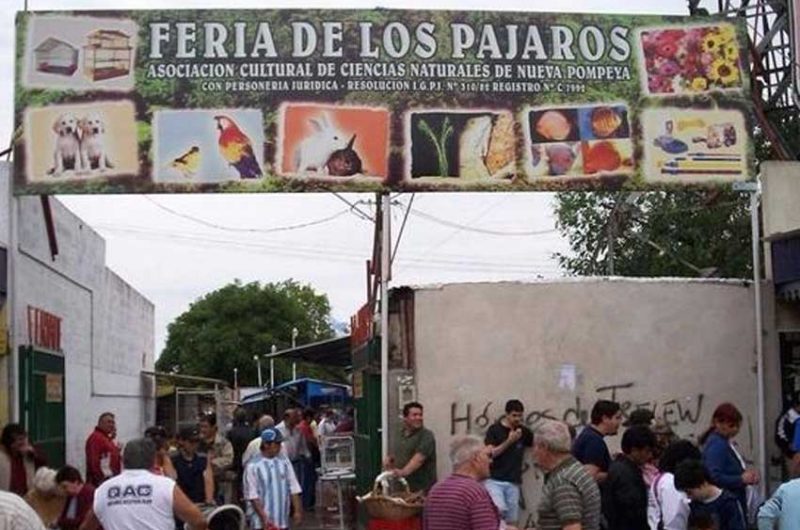 Las actividades de la feria de pájaros y peces de Nueva Pompeya fueron suspendidas Las actividades de la feria de pájaros y peces de Nueva Pompeya fueron suspendidas