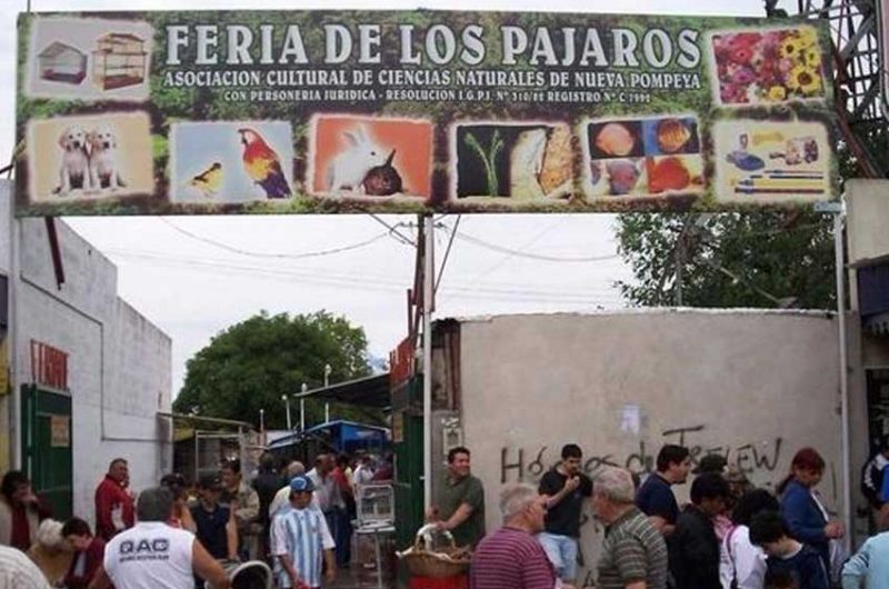 Las actividades de la feria de pájaros y peces de Nueva Pompeya fueron suspendidas