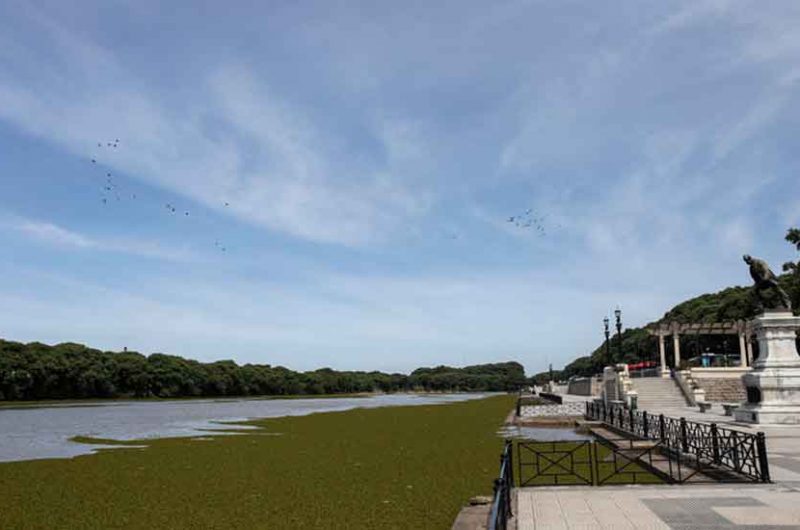 50 árboles por los 32 años de la Reserva Ecológica 50 árboles por los 32 años de la Reserva Ecológica