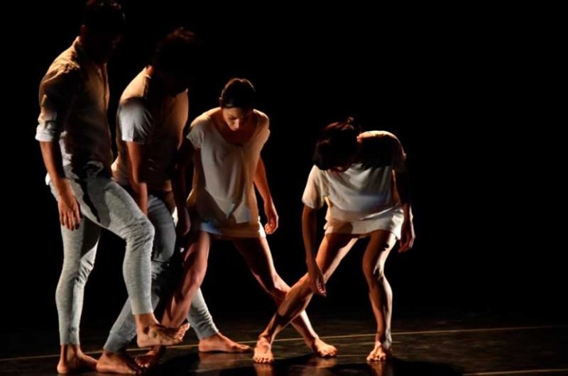 Unión de danzas contemporáneas al aire libre