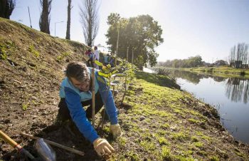 La ciudad plantó 1.000 árboles a la vera del Riachuelo