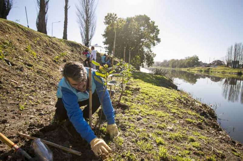 La ciudad plantó 1.000 árboles a la vera del Riachuelo