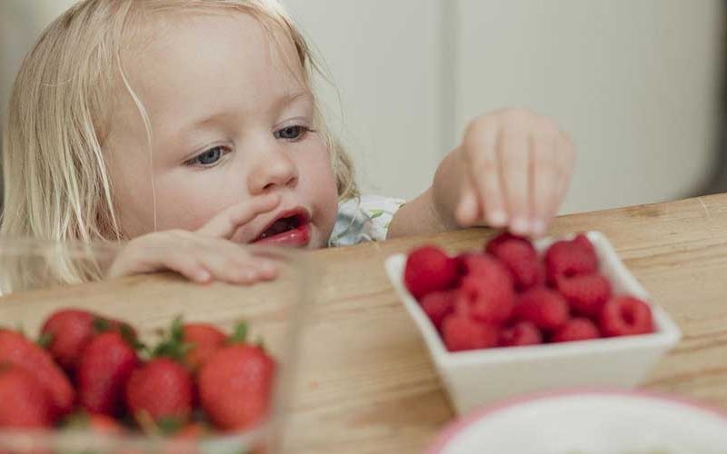 Que comen y deben comer nuestros hijos