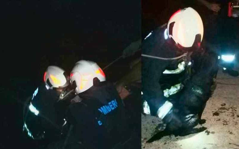 Bomberos rescataron a un perro que cayó al Riachuelo Bomberos rescataron a un perro que cayó al Riachuelo