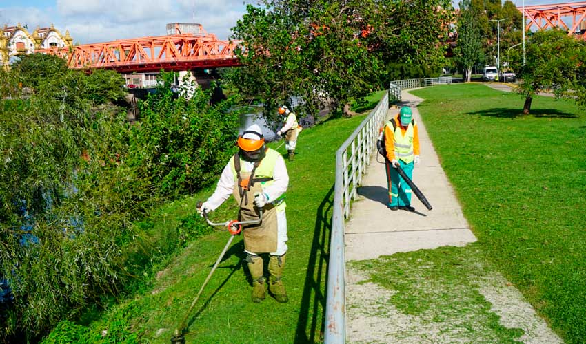 Mantenimiento y fumigación en la vera del Riachuelo