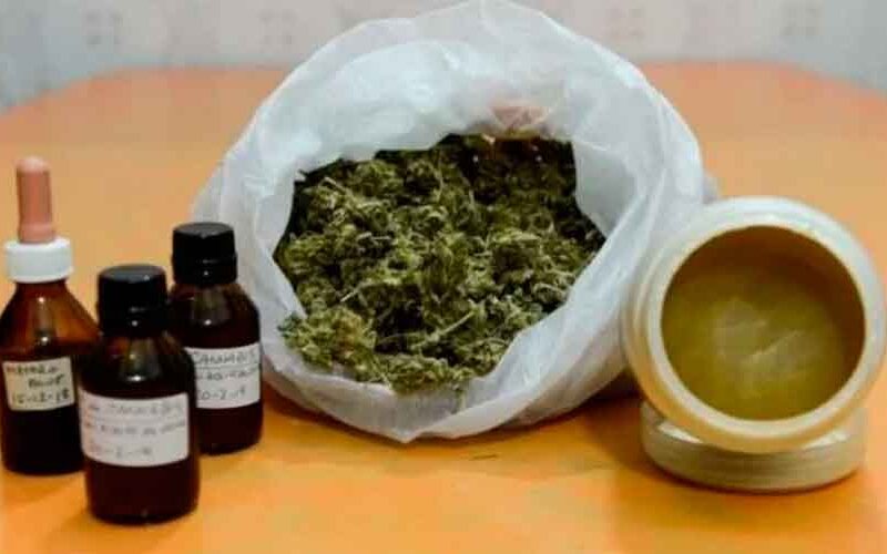 Debate por la legalización del cannabis terapéutico