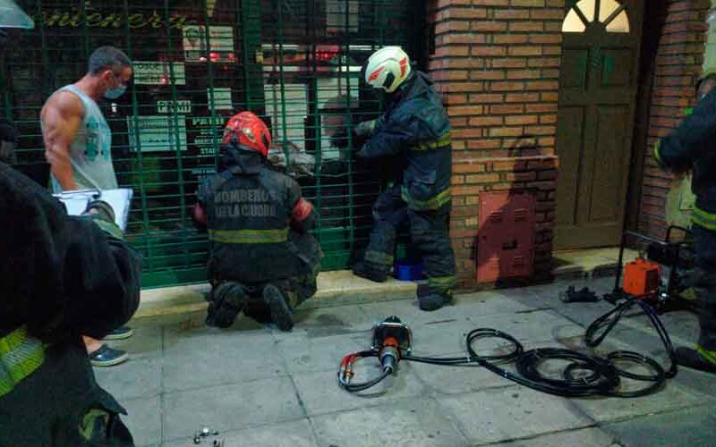 Un gatito quedó atrapado en la vidriera de una farmacia Un gatito quedó atrapado en la vidriera de una farmacia
