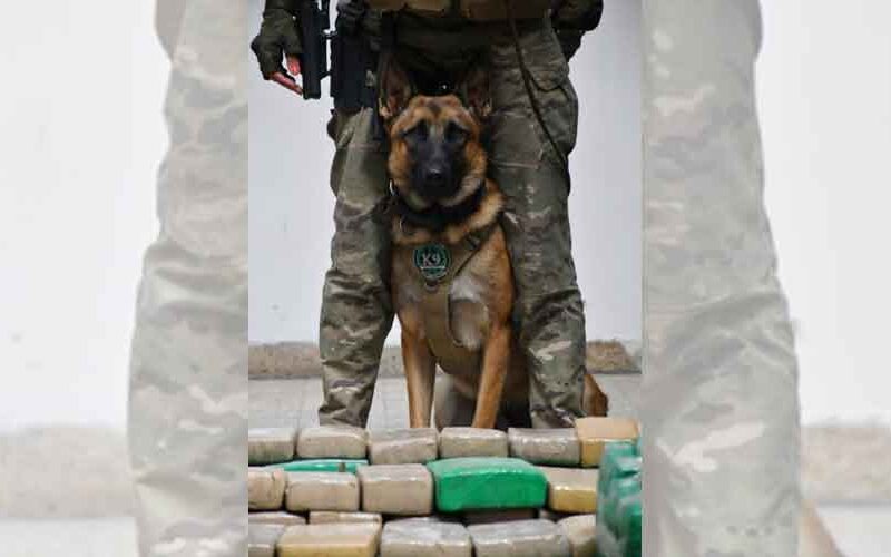 La Policía incautó más de 5 toneladas de marihuana La Policía incautó más de 5 toneladas de marihuana