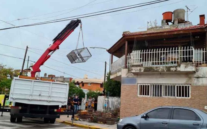 Se rescataron más de 80 animales de un criadero ilegal Se rescataron más de 80 animales de un criadero ilegal