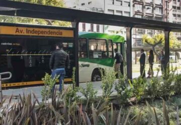 Tres líneas de colectivos se sumarán al Metrobús del Bajo