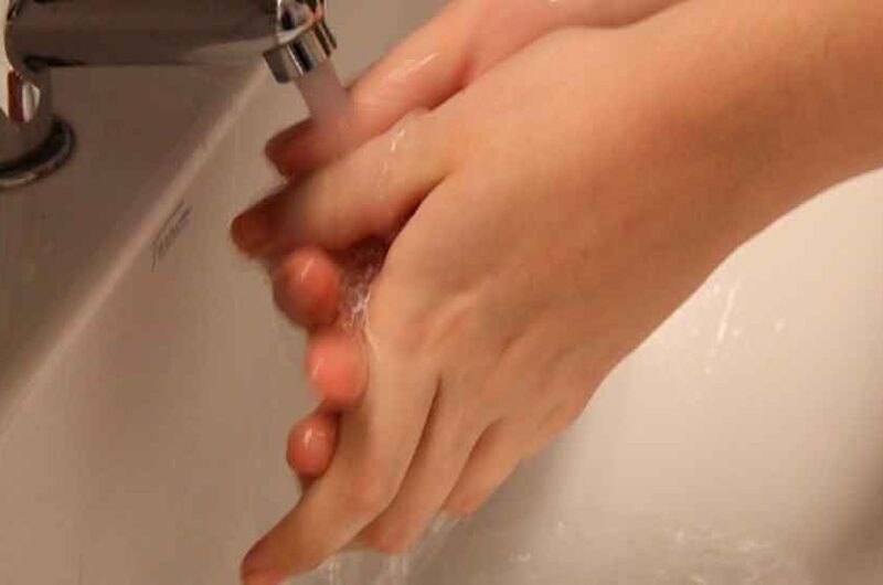 5 de Mayo: Día mundial de la higiene de manos