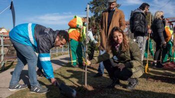 Se sumarán 10.000 ejemplares de árboles nativos