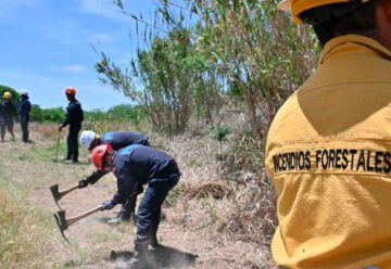 La Ciudad inaugura su Brigada de Incendios Forestales