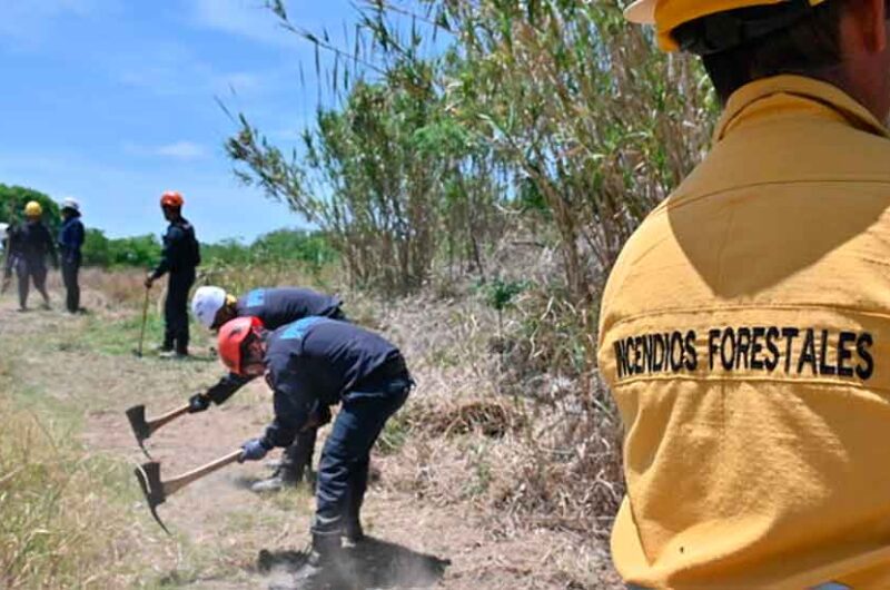 La Ciudad inaugura su Brigada de Incendios Forestales La Ciudad inaugura su Brigada de Incendios Forestales