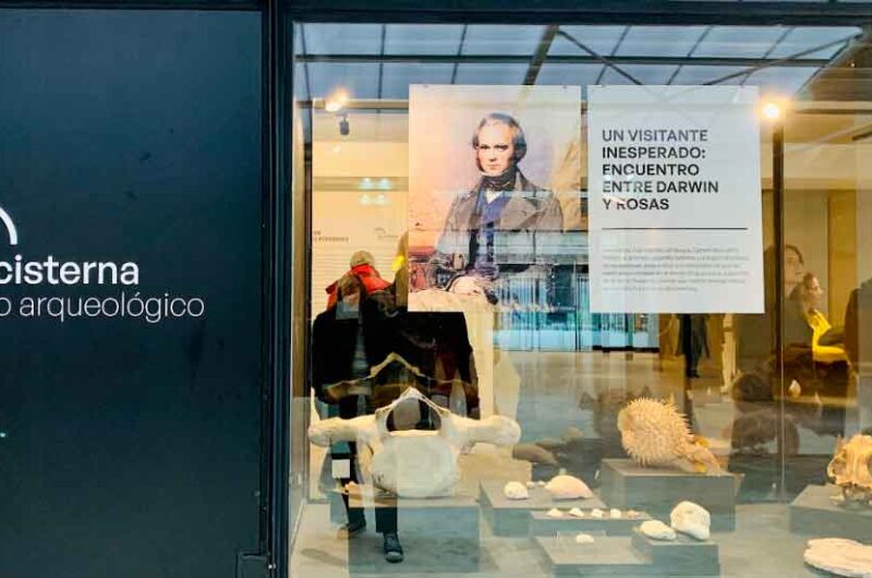 La Ciudad inauguró un nuevo museo: La Cisterna La Ciudad inauguró un nuevo museo: La Cisterna