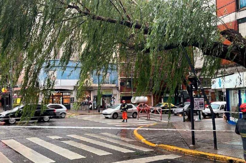 El Gobierno porteño desplegó un servicio de Alerta Amarilla El Gobierno porteño desplegó un servicio de Alerta Amarilla