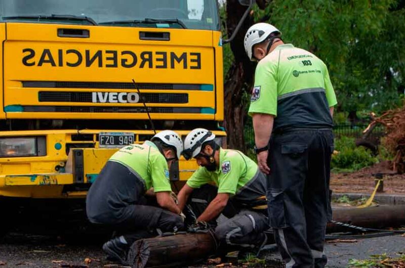 Continúa el operativo para la remoción de árboles caídos Continúa el operativo para la remoción de árboles caídos