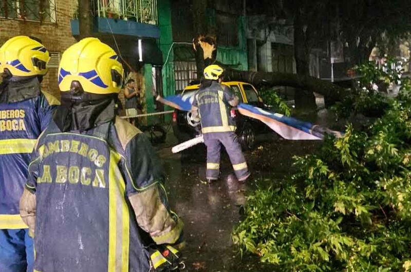 El temporal provoca gran cantidad de destrozos El temporal provoca gran cantidad de destrozos