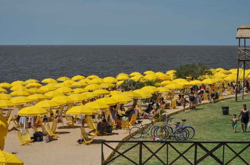 Feria Gourmet y juegos interactivos en BA Playa Feria Gourmet y juegos interactivos en BA Playa