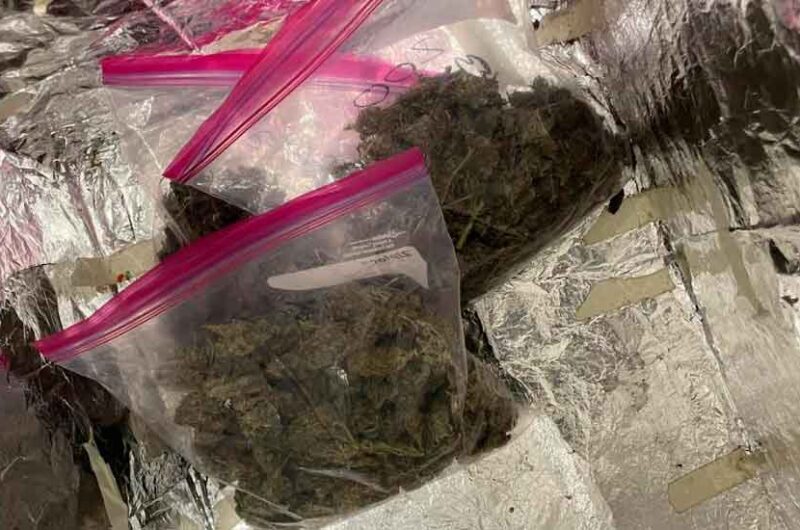 Cayó la sociedad narco que vendía droga por Telegram Cayó la sociedad narco que vendía droga por Telegram