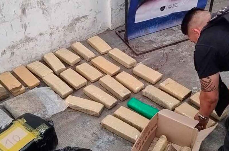 La Policía desbarató una organización narco La Policía desbarató una organización narco