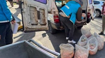 La Policía de la Ciudad detuvo a "carniceros infieles" en Mataderos