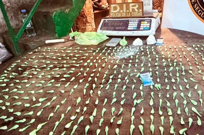 La Policía incautó más de 600 dosis de cocaína en un maxikiosco La Policía incautó más de 600 dosis de cocaína en un maxikiosco