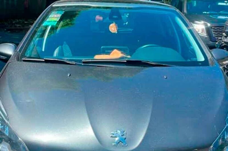 Caen con un auto mellizo en Pompeya Caen con un auto mellizo en Pompeya