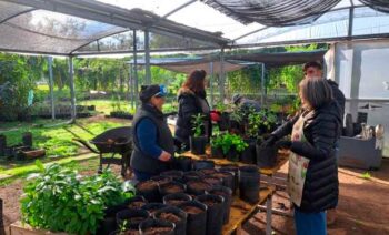 Villa Soldati: Lanzan un programa de voluntariado ambiental