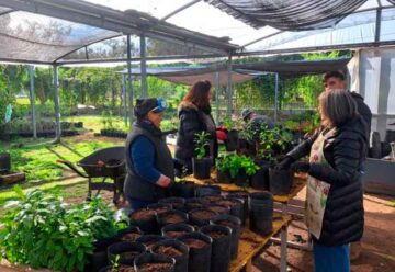 Villa Soldati: Lanzan un programa de voluntariado ambiental
