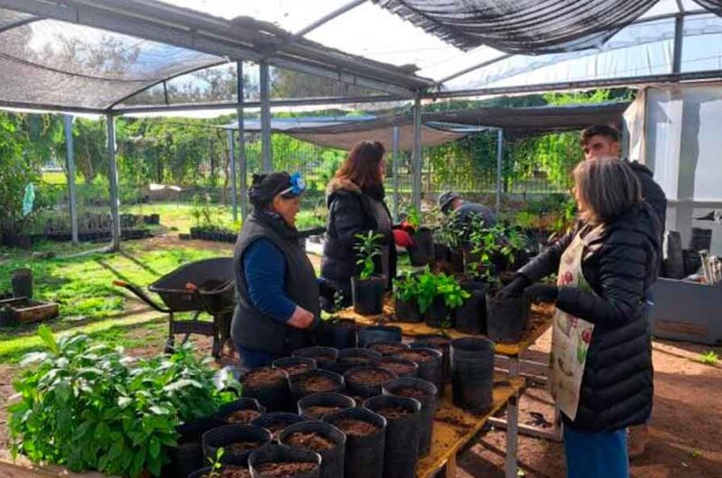 Villa Soldati: Lanzan un programa de voluntariado ambiental Villa Soldati: Lanzan un programa de voluntariado ambiental