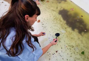 Dengue: La Ciudad puso en marcha el plan de prevención