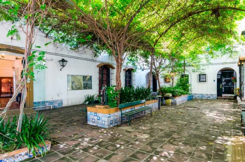 El Museo Saavedra celebra la llegada de la primavera